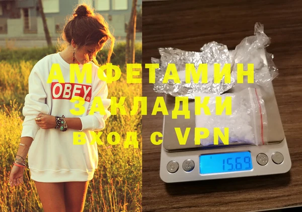индика Алзамай