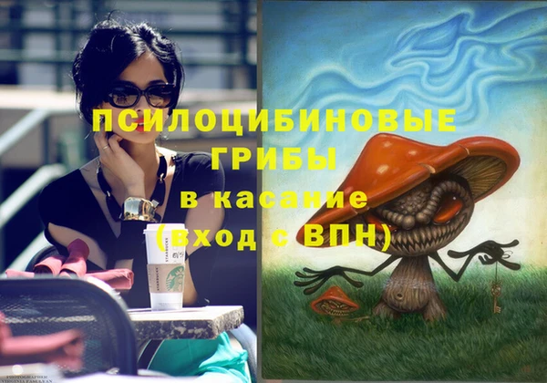 индика Алзамай