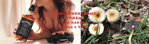 спиды Алексеевка