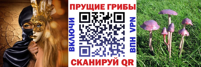 Галлюциногенные грибы ЛСД  блэк спрут ссылки  Шумиха  купить наркотики сайты 